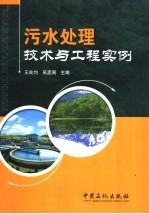 污水处理技术与工程实例