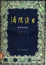 溽阳夜月 民族器乐曲