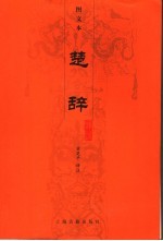 楚辞译注 图文本