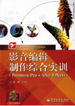 影音编辑制作综合实训(Premiere Pro+After Effects)