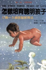 怎样培育聪明孩子 0岁-3岁启智教育法