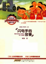 全国优秀儿童文学奖获奖作家精品书系 闪电手的故事
