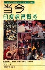 当今印度教育概览