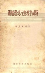 锅炉燃烧与热效率试验