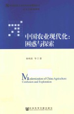 中国农业现代化 困惑与探索