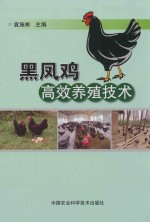 黑凤鸡高效养殖技术
