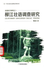 柳江壮语调查研究