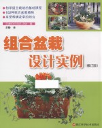 组合盆栽设计实例