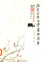 北京公安文学艺术集萃 2010 文学作品卷
