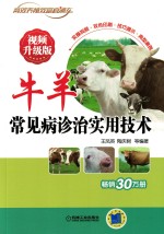 牛羊常见病诊治实用技术 视频升级版
