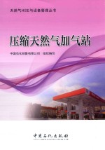 压缩天然气加气站