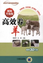 高效养羊 视频升级版