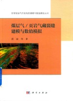 煤层气 页岩气藏裂缝建模与数值模拟