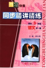 同步精讲精练 初中语文 三年级