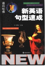 新英语句型速成