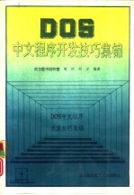 DOS中文程序开发技巧集锦