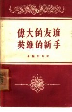 伟大的友谊 英雄的新手