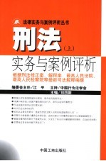 刑法实务与案例评析 上