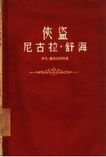 侠盗尼古拉·舒海