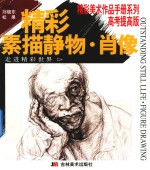 精彩素描静物 肖像