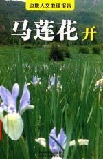 边地人文地理报告 马莲花开