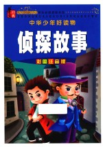 中华少年好读物 侦探故事