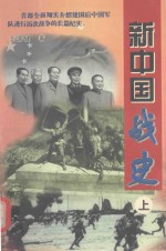 新中国战史 上