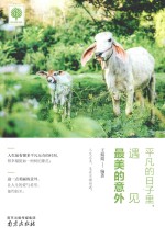 平凡的日子里,遇见最美的意外