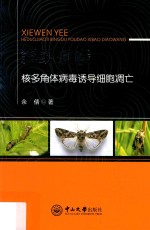 斜纹夜蛾核多角体病毒诱导细胞凋亡