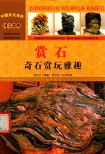 赏石 奇石赏玩雅趣