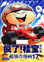 疯了桂宝 17 进化卷