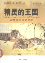 精灵的王国 万物简史之动物卷