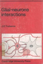 GLIAL NEURONE INTERACTIONS VOLUME 95