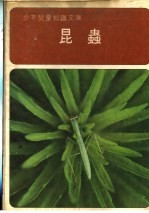 昆虫