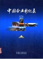 中国企业新纪录 第6辑