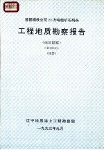 首都钢铁公司20万吨级矿石码头 工程地质勘察报告 （选址勘察） H9309 （相册）
