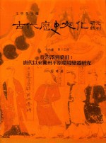 古代历史文化研究辑刊 十六编 第23册 从沼泽到桑田:唐代以来湖州平原环境变迁研究