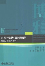 内部控制与风险管理理论、实践与案例=INTERNAL CONTROL AND RISK MANAGEMENT THEORY