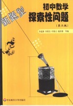 初中数学探索性问题 中考新题型