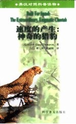 速度的产生 神奇的猎豹