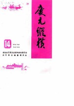 庆元纵横 14
