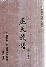 广东省梅州市大埔县 巫氏族谱 宗智公派下
