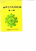 玉溪市文史资料选 第1辑