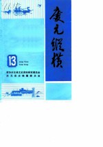 庆元纵横 13
