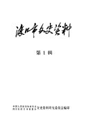 渡口市文史资料 第1辑