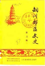 铜川郊区文史 第3辑
