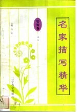 名家描写精华 姿容卷·之八