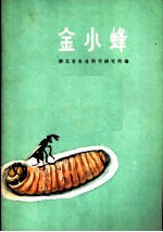 金小蜂