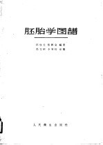 胚胎学图谱
