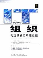 IT组织 构筑世界级基础设计